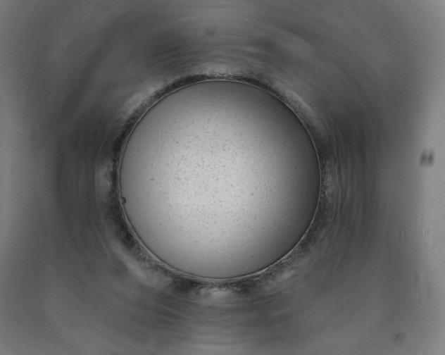 X0000090630208200707311312