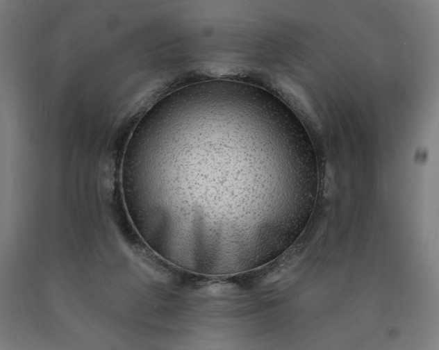 X0000090630210200707311312