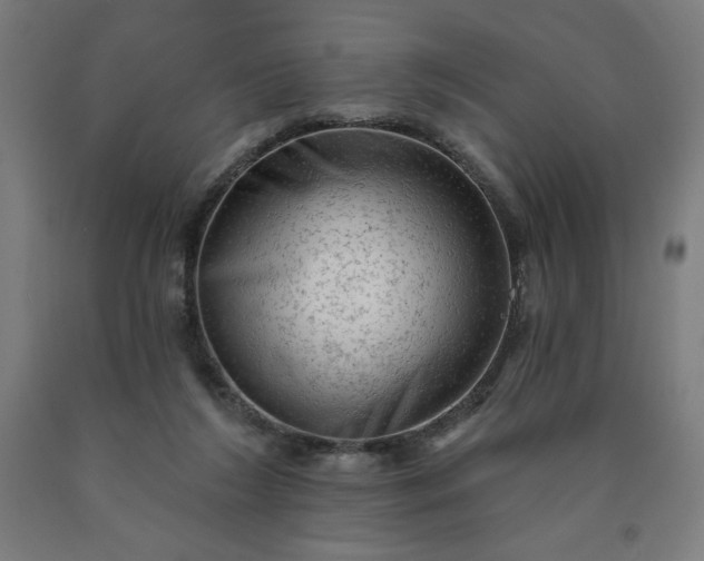 X0000090630212200707311312