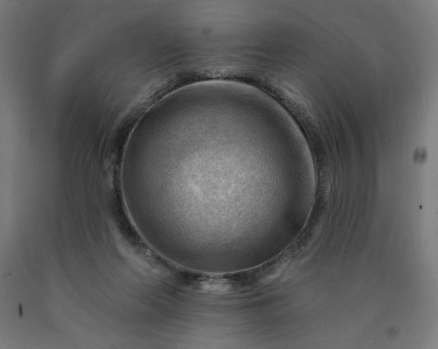 X0000090630214200707311312
