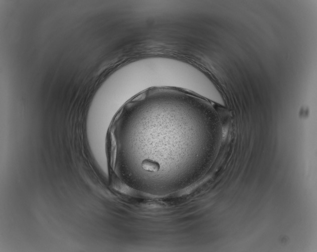 X0000090630215200707311312