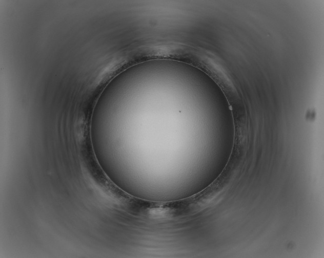 X0000090630216200707311312