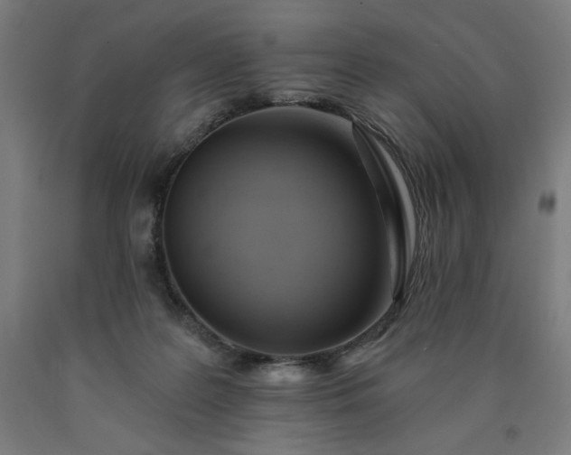 X0000090630219200707311312