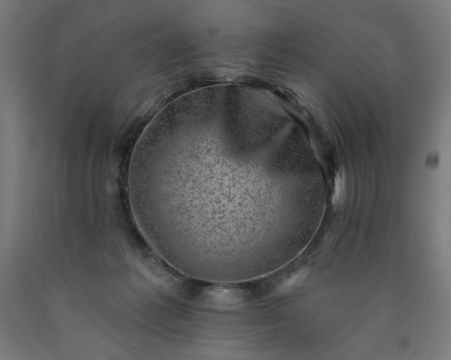 X0000090630221200707311312