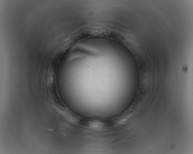 X0000090630226200707311312