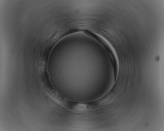 X0000090630227200707311312