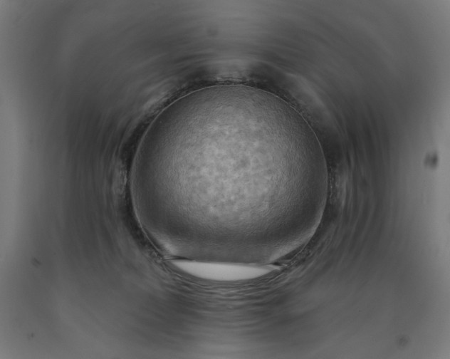 X0000090630228200707311312