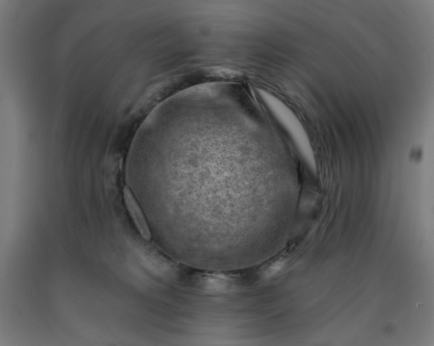 X0000090630229200707311312