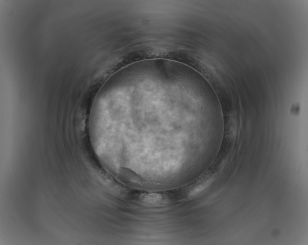 X0000090630230200707311312