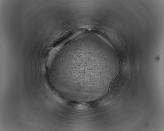 X0000090630232200707311312