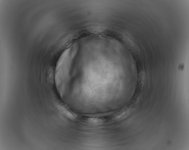 X0000090630234200707311312