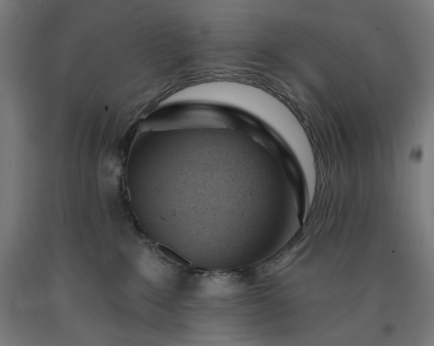 X0000090630235200707311312