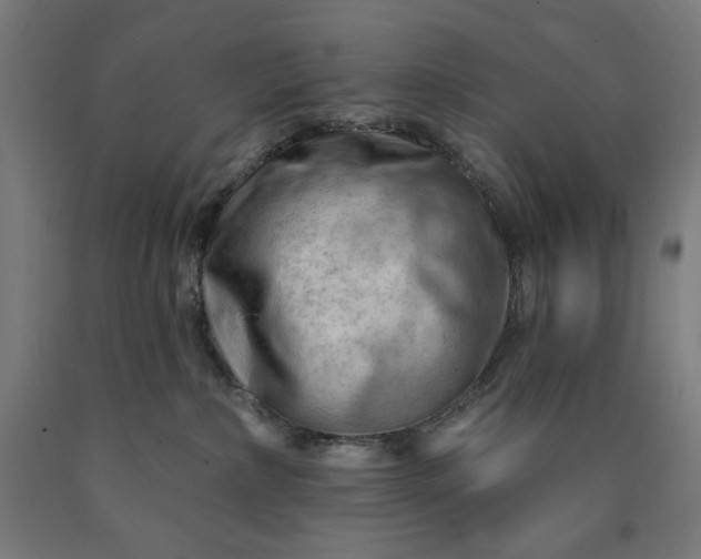 X0000090630236200707311312