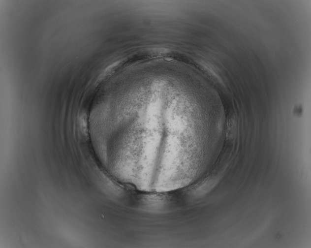 X0000090630238200707311312