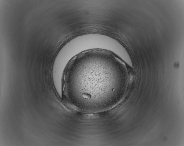 X0000090630239200707311312