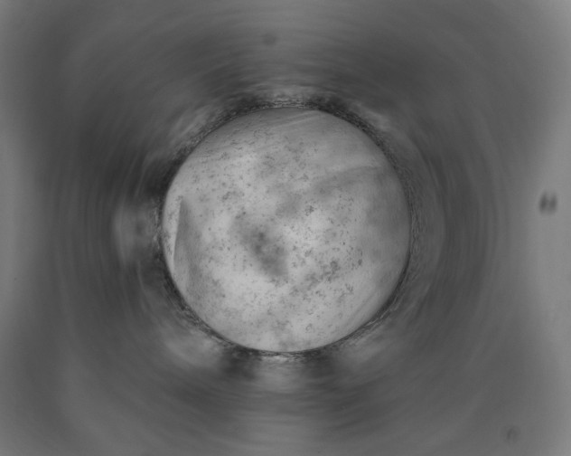 X0000090630240200707311312