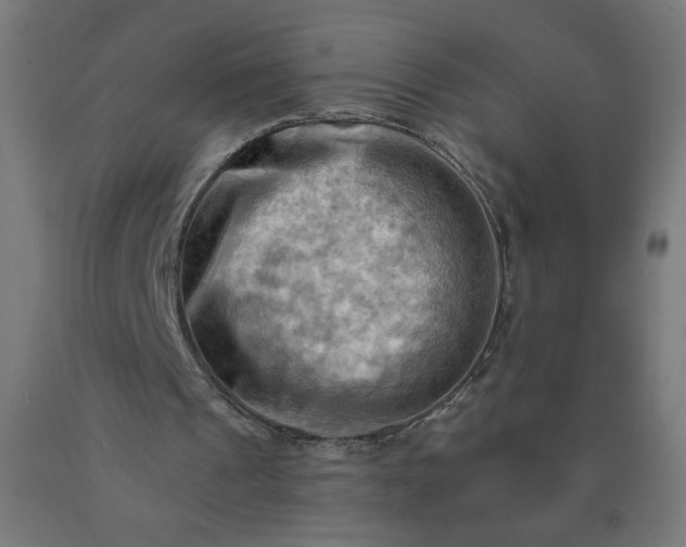 X0000090630241200707311311