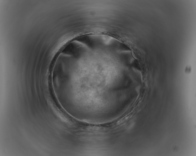 X0000090630242200707311311