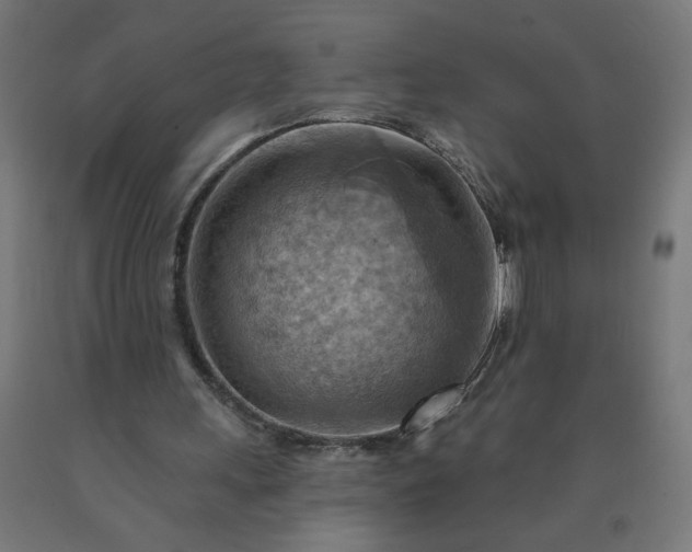 X0000090630243200707311311
