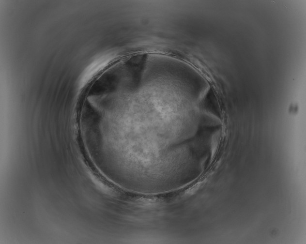X0000090630245200707311311