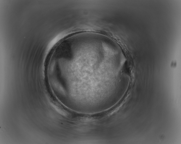 X0000090630246200707311311