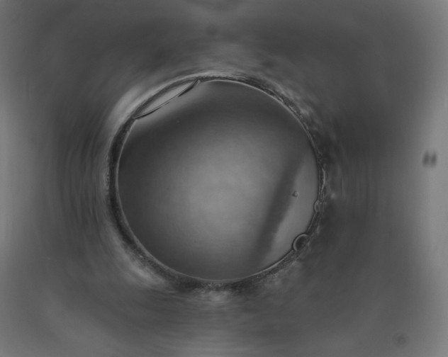 X0000090630247200707311311