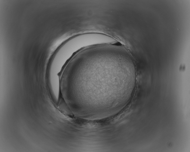 X0000090630248200707311311