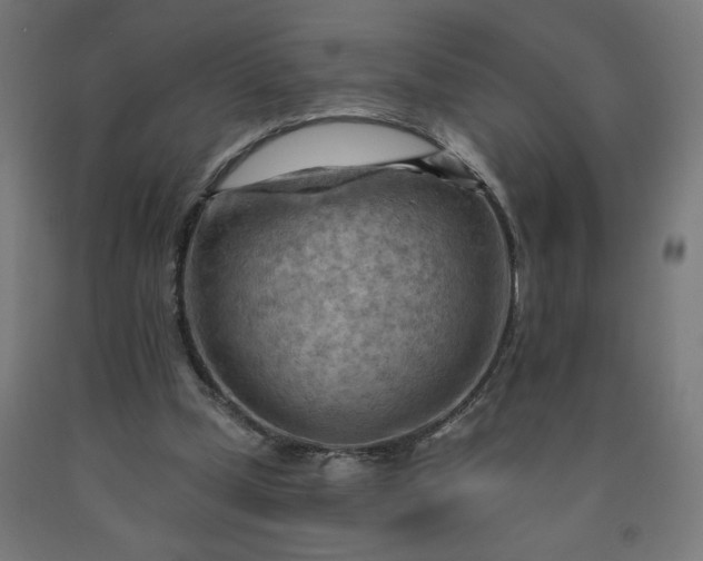 X0000090630249200707311311