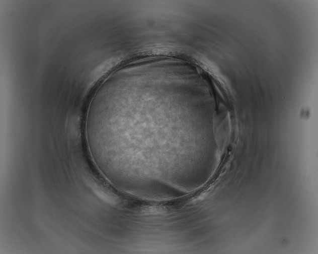 X0000090630250200707311311