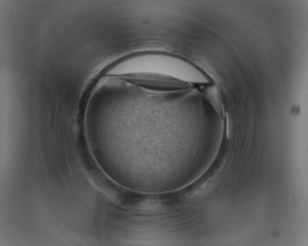 X0000090630252200707311311