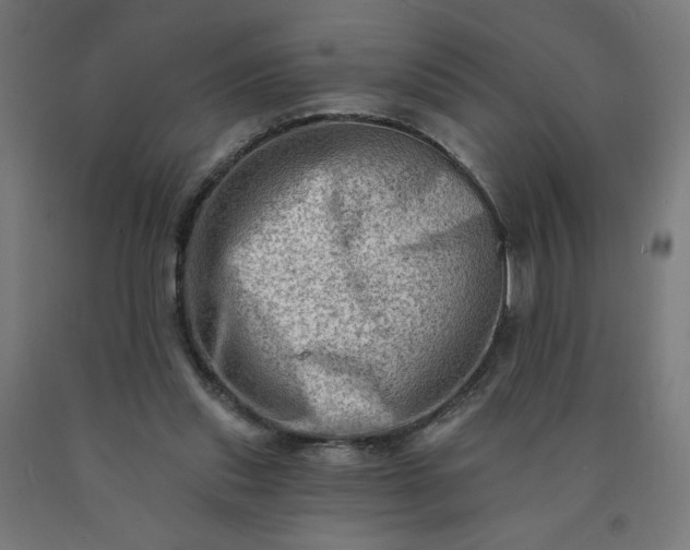 X0000090630253200707311311