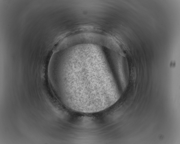 X0000090630255200707311311