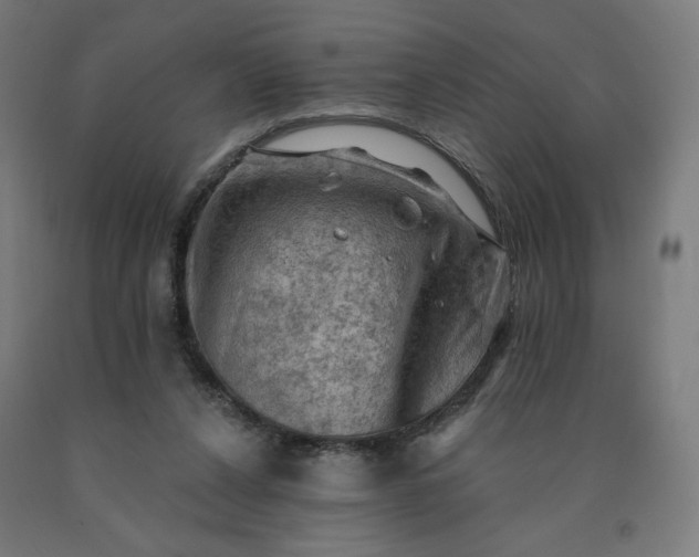 X0000090630256200707311311