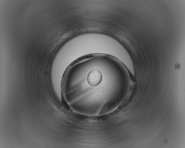 X0000090630260200707311312