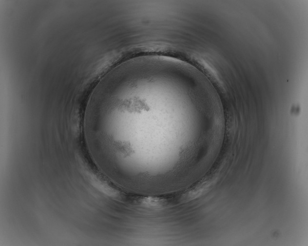 X0000090630261200707311312