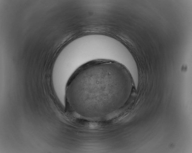 X0000090630264200707311312