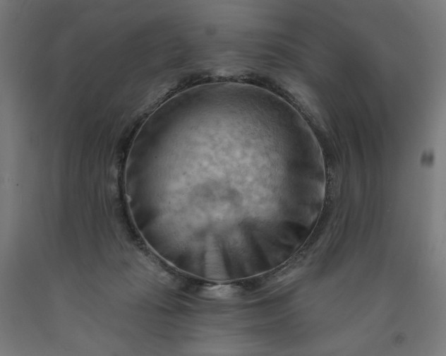 X0000090630269200707311312