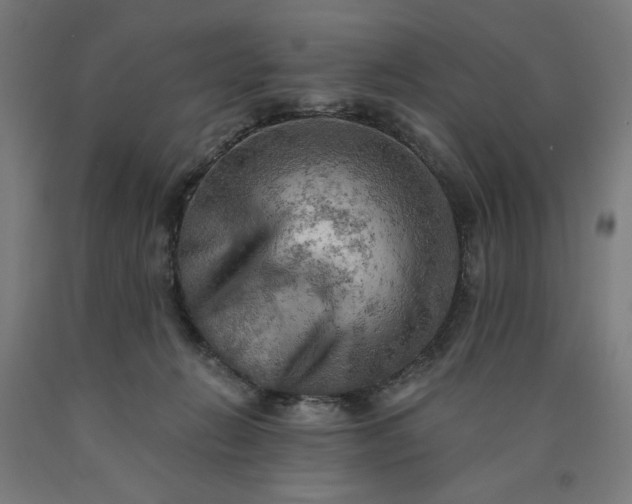 X0000090630270200707311312