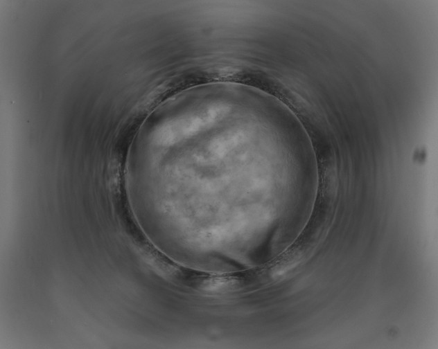 X0000090630274200707311312