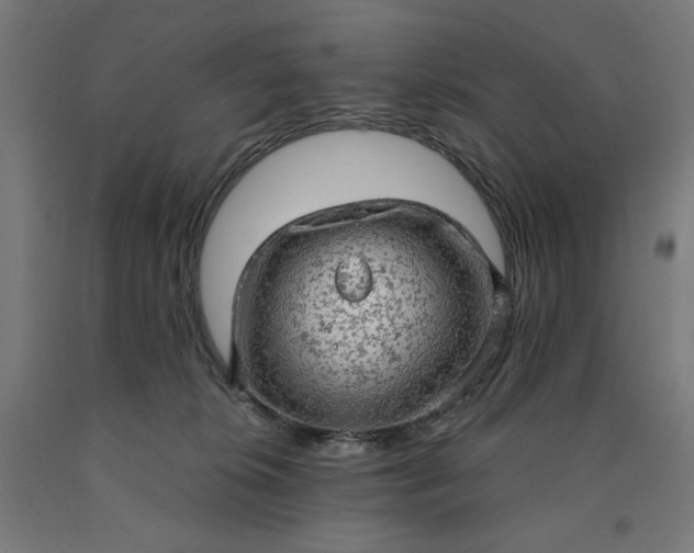 X0000090630276200707311312