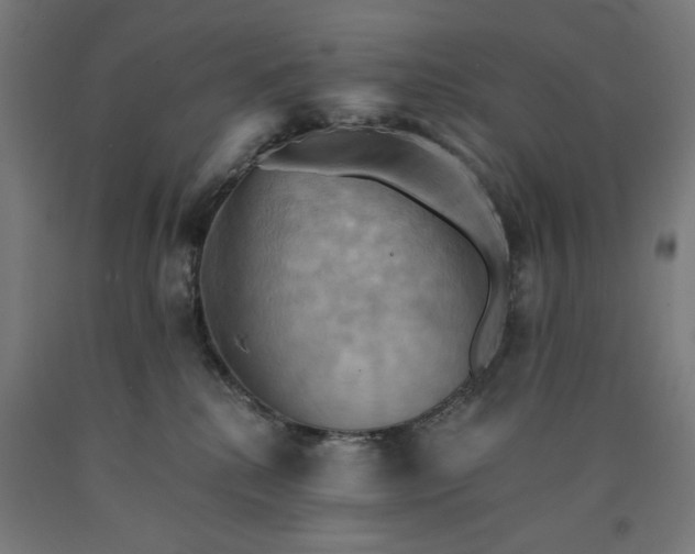 X0000090630280200707311312