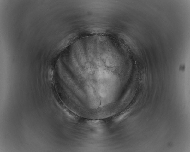 X0000090630281200707311312