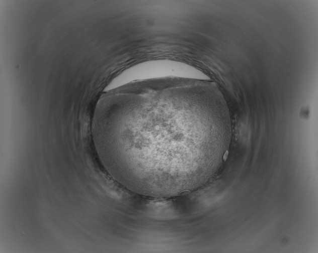 X0000090630283200707311312