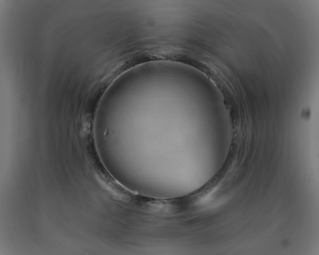 X0000090630284200707311312