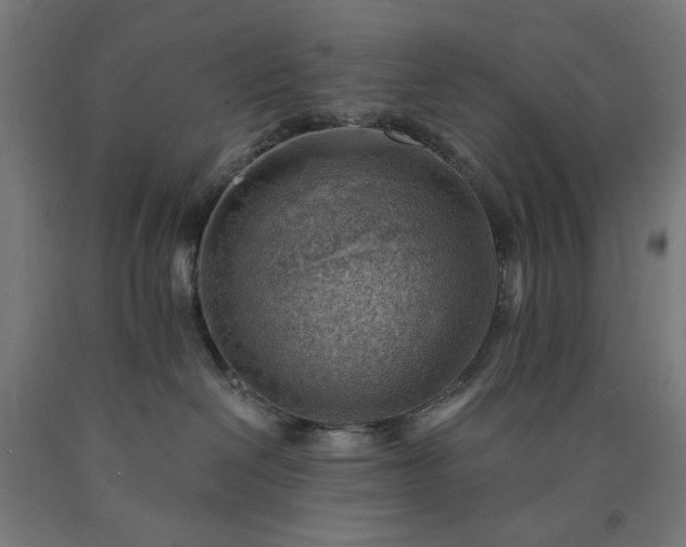X0000090630286200707311312
