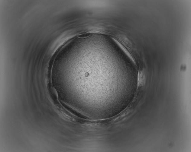 X0000090630291200707311311