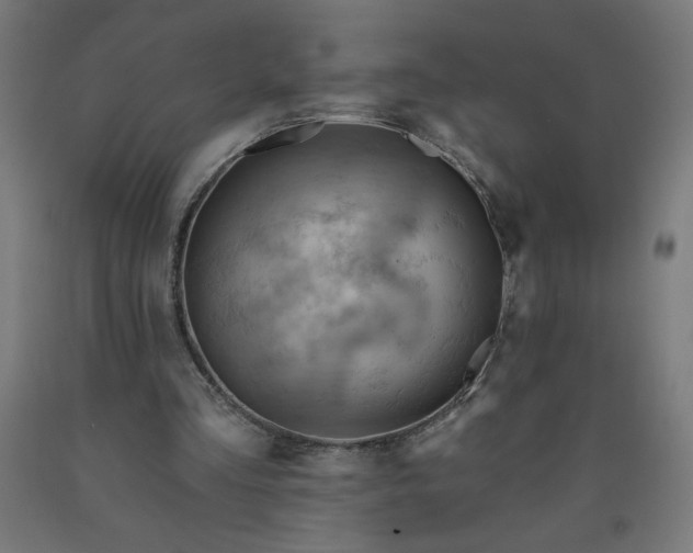 X0000090630293200707311311