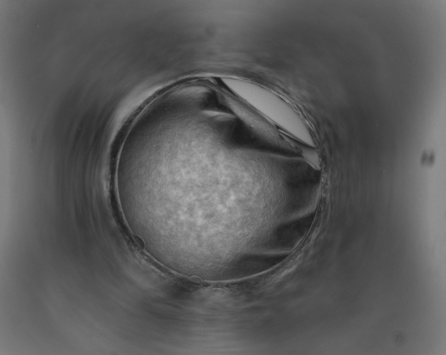 X0000090630294200707311311