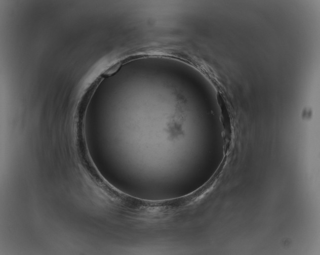 X0000090630295200707311311