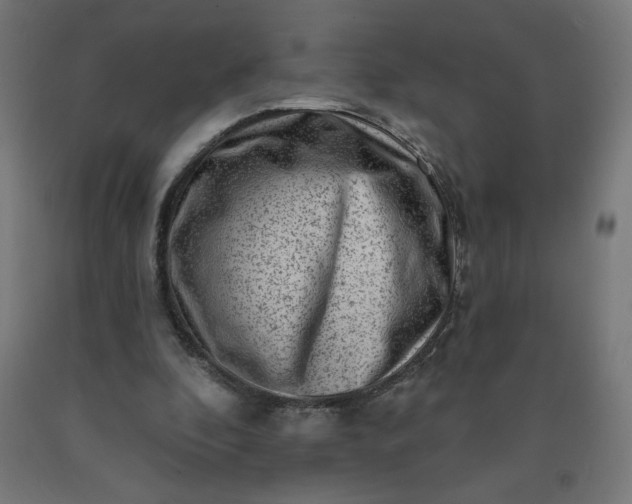 X0000090630296200707311311
